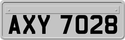 AXY7028