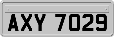 AXY7029
