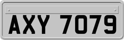 AXY7079