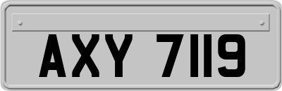 AXY7119