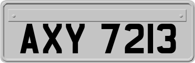 AXY7213