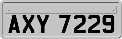 AXY7229