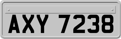 AXY7238