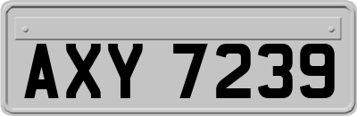 AXY7239