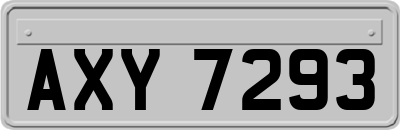 AXY7293