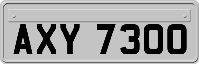 AXY7300