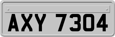 AXY7304