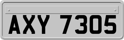 AXY7305