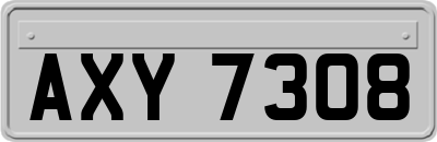 AXY7308