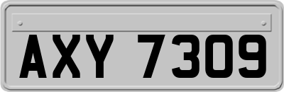 AXY7309