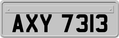 AXY7313