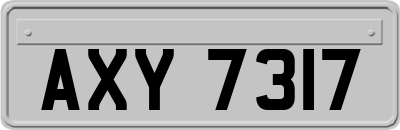AXY7317
