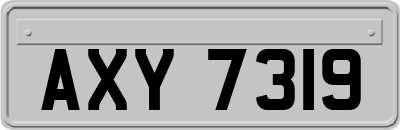 AXY7319