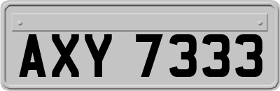 AXY7333