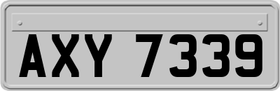 AXY7339