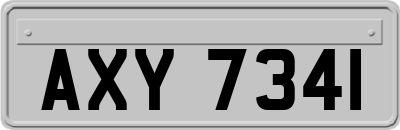 AXY7341