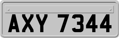 AXY7344