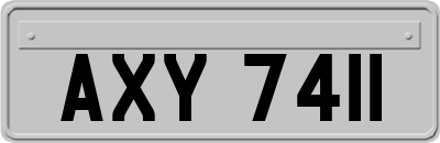 AXY7411