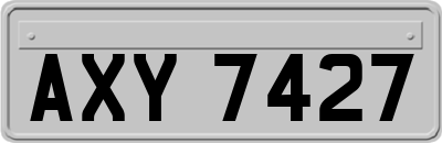 AXY7427