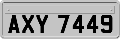 AXY7449