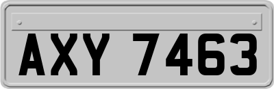 AXY7463