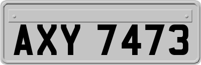 AXY7473