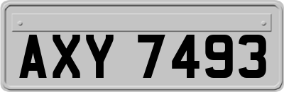 AXY7493