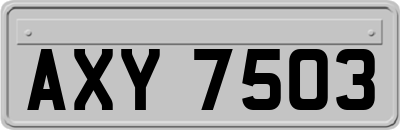 AXY7503