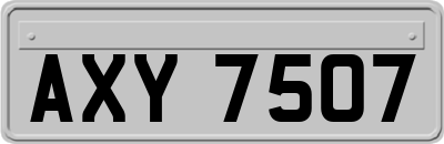AXY7507