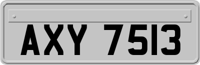 AXY7513