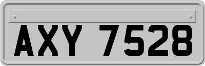 AXY7528