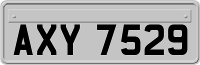 AXY7529