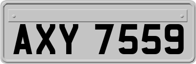 AXY7559