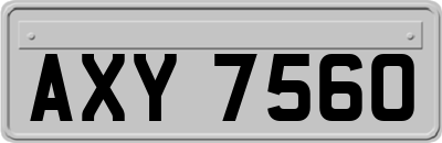 AXY7560