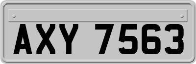AXY7563