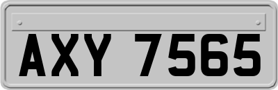 AXY7565