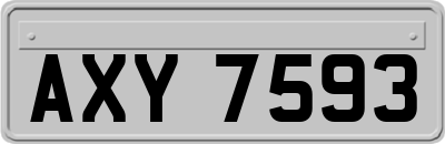 AXY7593