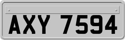 AXY7594