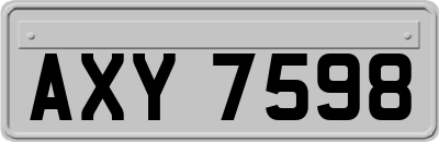 AXY7598