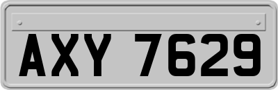 AXY7629
