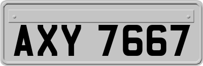AXY7667