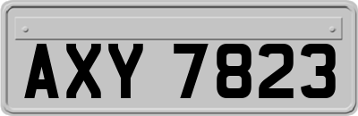 AXY7823