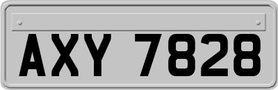 AXY7828