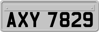 AXY7829
