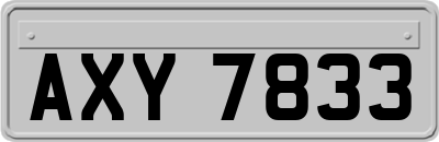 AXY7833