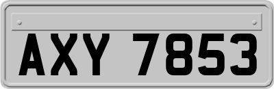 AXY7853