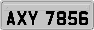 AXY7856