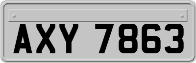 AXY7863