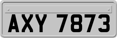 AXY7873
