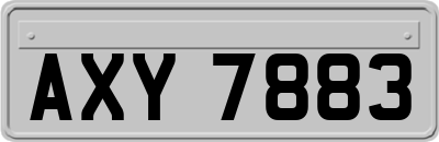 AXY7883